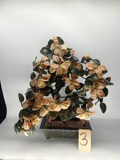 Edelstein Bonsai Jade Baum