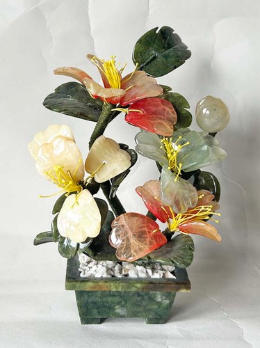 Vintag jadebaum edelsteinbaum - jadebaum,