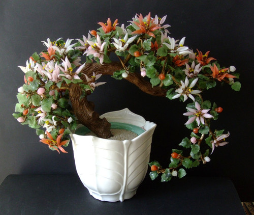 Baum bonsai jade - baum, stein