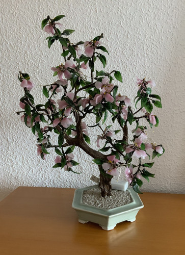 Vintage bonsai baum jade - bonsai,