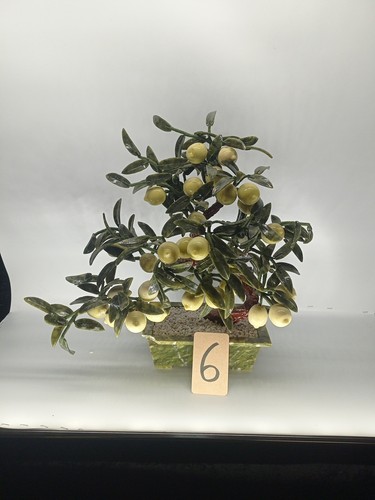 Edelstein bonsai jade baum - bonsai,