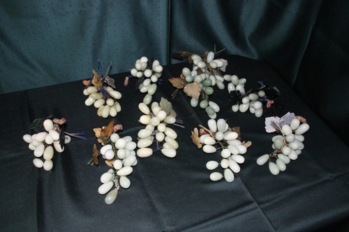 Ziertrauben jade wohl - ziertrauben,